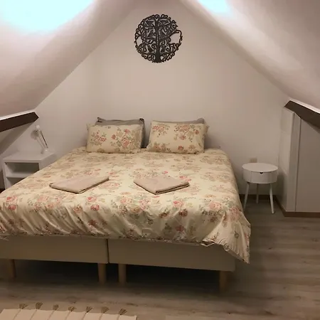 Lumineux - Apartment Brussels